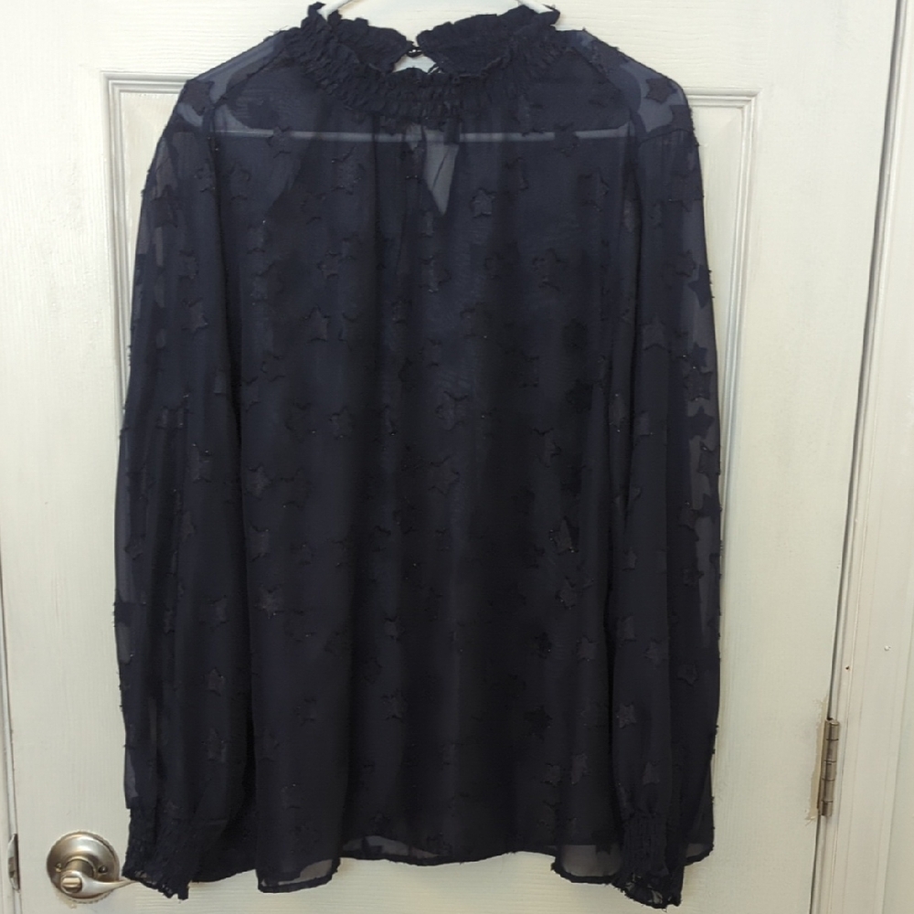 Sheer Torrid Blouse